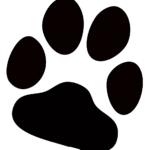 dog paw print