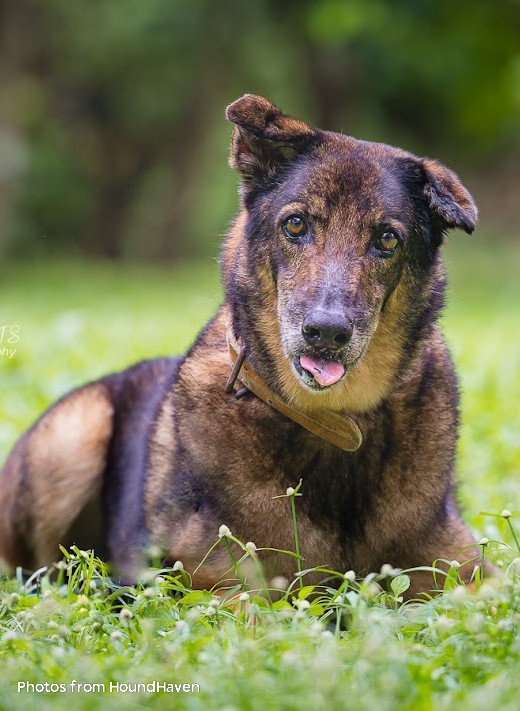 Home rvpcqczjhaacyhkk6lbjzsz9ypto0qublb6phil9 2