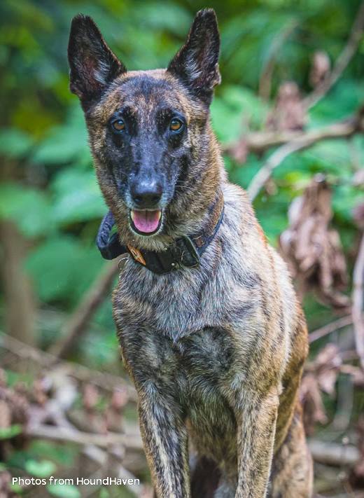 Home uh72p9uizeydz7eglix9uo7fooy4qroh4pgo4rui 1