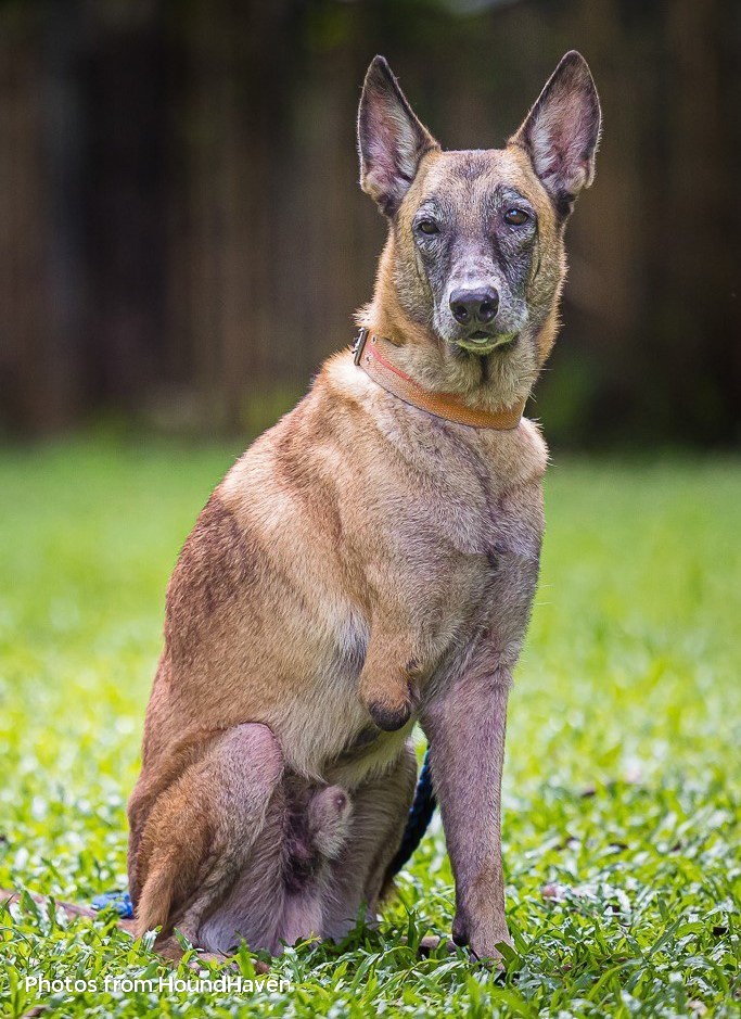 Home xjrz2xi5vuei7fqzrfbyhou6fjh35f2zbxnl01ul 4